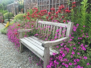 bench-997715_640.jpg