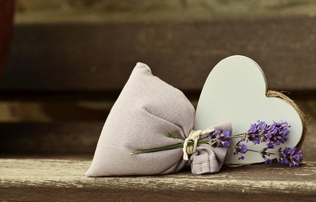 lavender-823600_640.jpg