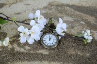 pocket-watch-1637392_640.jfif