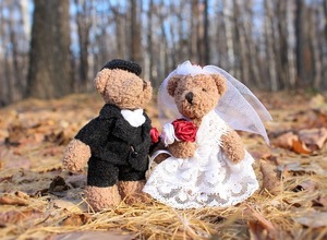 wedding-1034430_640.jpg