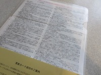 IMG_2733 - �R�s�[.JPG